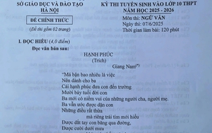 Đề thi môn Ngữ văn vào lớp 10 năm học 2025-2026 của Hà Nội