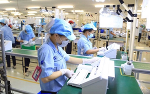 Những nội dung của Luật Việc làm