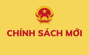 Chế độ, chính sách đối với công chức tự nguyện xin thôi việc hoặc bị cho thôi việc