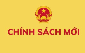 Bỏ thi nâng ngạch, không quy định kiểm định chất lượng đầu vào công chức