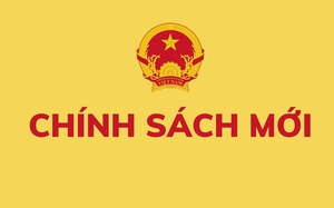 TOÀN VĂN:  Nghị định 173/2025/NĐ-CP về hợp đồng thực hiện nhiệm vụ của công chức