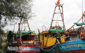 KHẨN TRƯƠNG ứng phó BÃO SỐ 3: Sẵn sàng SƠ TÁN DÂN; CẤM BIỂN từ 7.00' ngày 21/7