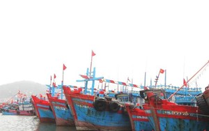 Khẩn trương vào cuộc, tập trung cao nhất cho công tác phòng chống BÃO SỐ 3