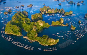 Hướng dẫn thực hiện 12 nhiệm vụ, thẩm quyền mới của UBND, Chủ tịch UBND cấp xã trong lĩnh vực BIỂN và HẢI ĐẢO