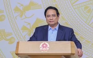 Thủ tướng: Tạo phong trào, xu thế để 