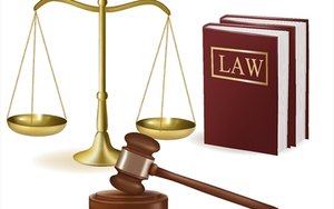 TOÀN VĂN: Nghị định số 217/2025/NĐ-CP về hoạt động kiểm tra chuyên ngành