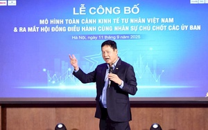Công bố Mô hình Toàn cảnh Kinh tế tư nhân Việt Nam và ra mắt Hội đồng Điều hành