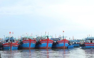 Khẩn trương sơ tán dân, cho học sinh nghỉ học, huy động cả hệ thống chính trị tập trung ứng phó BÃO SỐ 10 ở mức cao nhất với tinh thần quyết liệt nhất