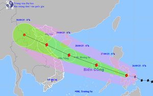 Khẩn trương ứng phó Bão số 10 (Bão BUALOI) với tinh thần quyết liệt nhất, biện pháp ở mức cao nhất