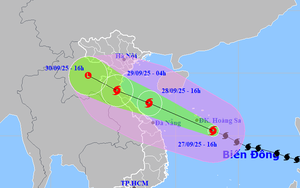 THƯỜNG TRỰC BAN BÍ THƯ CHỈ ĐẠO ỨNG PHÓ BÃO SỐ 10 (Bão Bualoi)