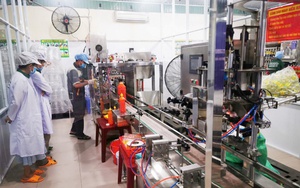 QUY ĐỊNH MỚI: Danh mục ngành, nghề; đối tượng được hưởng chính sách khuyến công