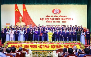 Danh sách Ban Chấp hành, Ban Thường vụ Tỉnh ủy Đồng Nai nhiệm kỳ 2025-2030