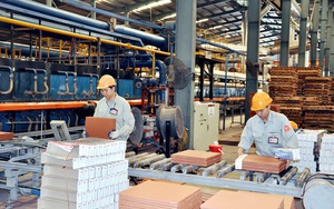 Sẽ tổ chức Lễ công bố Mô hình Toàn cảnh Kinh tế tư nhân Việt Nam