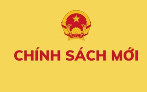 TOÀN VĂN: Nghị định 07/2026/NĐ-CP sửa đổi, bổ sung về chế độ tiền lương đối với cán bộ, công chức, viên chức và lực lượng vũ trang