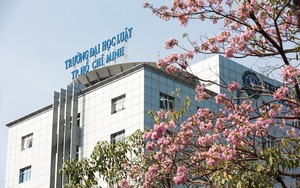 Phương thức tuyển sinh đại học năm 2026 của Trường Đại học Luật TPHCM