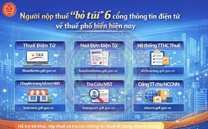 6 cổng thông tin điện tử của ngành thuế giúp kê khai, nộp thuế và tra cứu thông tin thuận lợi