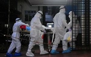 40-75% bệnh nhân mắc VIRUS NIPAH tử vong, Bộ Y tế khuyến cáo 5 biện pháp ứng phó
