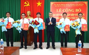 Sắp xếp tổ chức bộ máy, nhân sự Ban Quản lý dự án đầu tư xây dựng