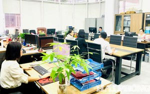 Quy định vị trí việc làm viên chức