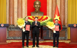 Chủ tịch nước bổ nhiệm 2 tân Phó Chánh án Tòa án nhân dân tối cao
