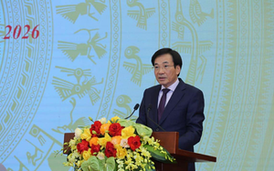 Tiếp tục sắp xếp tổ chức bộ máy tinh, gọn, mạnh, hiệu năng, hiệu lực, hiệu quả