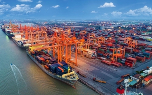 Dự thảo Nghị quyết về điều chỉnh Khung thuế suất thuế xuất khẩu với một số nhóm hàng