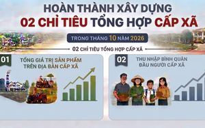 Hoàn thành xây dựng 02 chỉ tiêu tổng hợp cấp xã trong tháng 10/2026