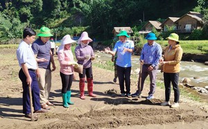 Khẩn trương sắp xếp, bố trí nhân sự đơn vị sự nghiệp cấp xã, giải quyết các trường hợp có khiếu nại, phản ánh