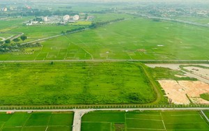 TOÀN VĂN: Nghị định 49/2026/NĐ-CP quy định chi tiết, hướng dẫn Nghị quyết 254/2025/QH15 tháo gỡ khó khăn, vướng mắc trong thi hành Luật Đất đai