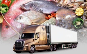 Mức phạt người điều khiển xe ô tô vi phạm quy định vận chuyển động vật sống, thực phẩm tươi sống
