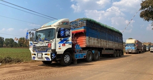 Thủ tướng chỉ đạo tháo gỡ vướng mắc trong triển khai Nghị định 46/2026/NĐ-CP về thi hành Luật An toàn thực phẩm