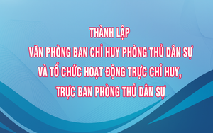 Thành lập Văn phòng Ban Chỉ huy Phòng thủ dân sự, Trực chỉ huy, Trực ban Phòng thủ dân sự các cấp