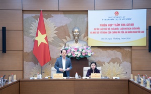 Thẩm tra sơ bộ dự án Luật Thủ đô (sửa đổi)