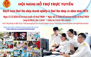 Hỗ trợ trực tuyến quyết toán thuế năm 2025