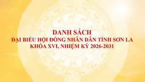Danh sách trúng cử đại biểu HĐND tỉnh Sơn La nhiệm kỳ 2026-2031