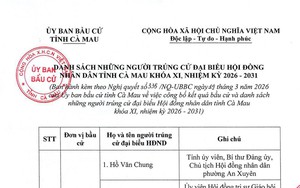 Danh sách trúng cử đại biểu HĐND tỉnh Cà Mau nhiệm kỳ 2026-2031