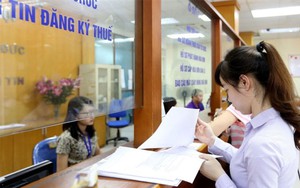 TOÀN VĂN: Dự thảo Thông tư về đăng ký thuế