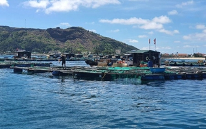 Đề xuất miễn thuế thu nhập cá nhân với nhiều nguồn thu trong lĩnh vực nông nghiệp, môi trường