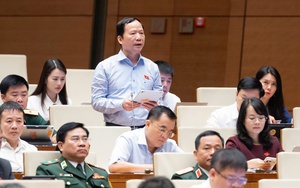 Tiến hành ngay việc sắp xếp, tinh gọn thôn, tổ dân phố; sớm ban hành chế độ với người hoạt động không chuyên trách