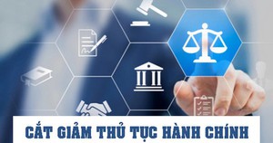 CHÍNH PHỦ BAN HÀNH 8 NGHỊ QUYẾT BÃI BỎ 184 THỦ TỤC HÀNH CHÍNH, 890 ĐIỀU KIỆN KINH DOANH
