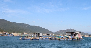 Nghị quyết 17/2026/NQ-CP: Cắt giảm, phân cấp, đơn giản hóa thủ tục hành chính, điều kiện kinh doanh thuộc phạm vi quản lý của Bộ Nông nghiệp và Môi trường