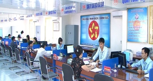 Khẩn trương triển khai các Nghị quyết của Chính phủ về cắt giảm, đơn giản hóa thủ tục hành chính, điều kiện kinh doanh