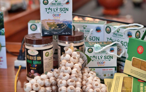 TOÀN VĂN: Dự thảo Quyết định ban hành bộ tiêu chí và quy trình đánh giá, phân hạng sản phẩm OCOP