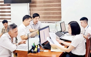 Dự kiến những vị trí công tác thuộc lĩnh vực nông nghiệp và môi trường phải định kỳ chuyển đổi