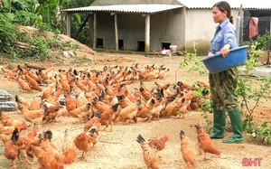 Kết thúc hoạt động và giải thể Quỹ Hỗ trợ Phụ nữ nghèo trực thuộc Hội Liên hiệp Phụ nữ Việt Nam