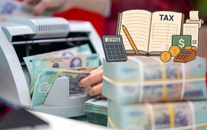 Đề xuất bãi bỏ 23 Thông tư, 3 Quyết định lĩnh vực thuế