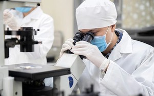TOÀN VĂN: Dự thảo Nghị định Quy định chính sách thu hút, trọng dụng người có tài năng