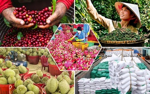 Quyết định số 26/2026/QĐ-TTg: Bộ tiêu chí và quy trình đánh giá, phân hạng sản phẩm OCOP