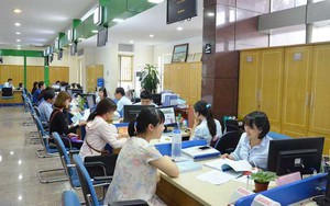 TOÀN VĂN: Dự thảo Nghị định về quản lý, sử dụng số lượng người làm việc trong đơn vị sự nghiệp công lập