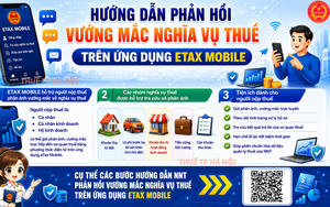 Hướng dẫn người nộp thuế phản hồi vướng mắc nghĩa vụ thuế trên ứng dụng Etax Mobile